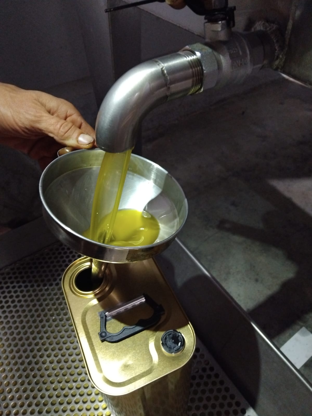 Fresh olive oil being pressed